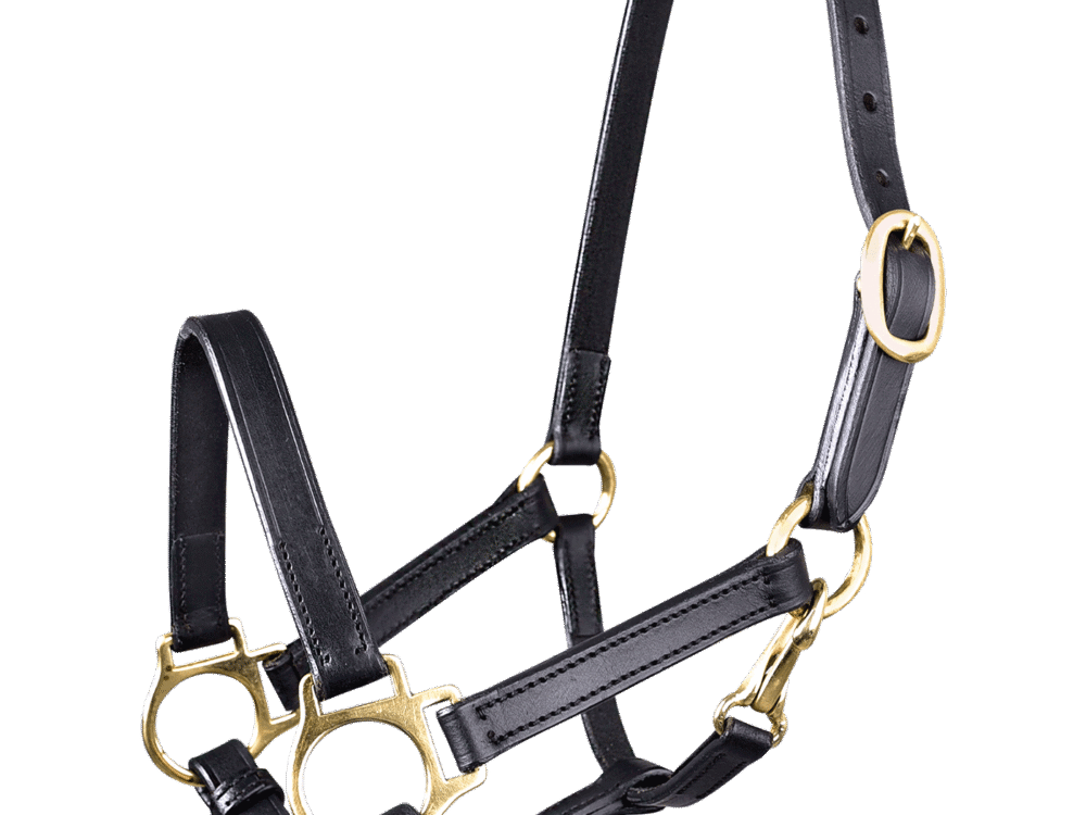 Waldhausen Halster Leer, zwart, veulen