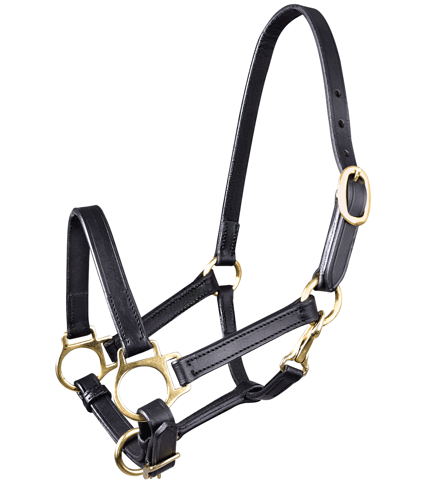 Waldhausen Halster Leer, zwart, veulen