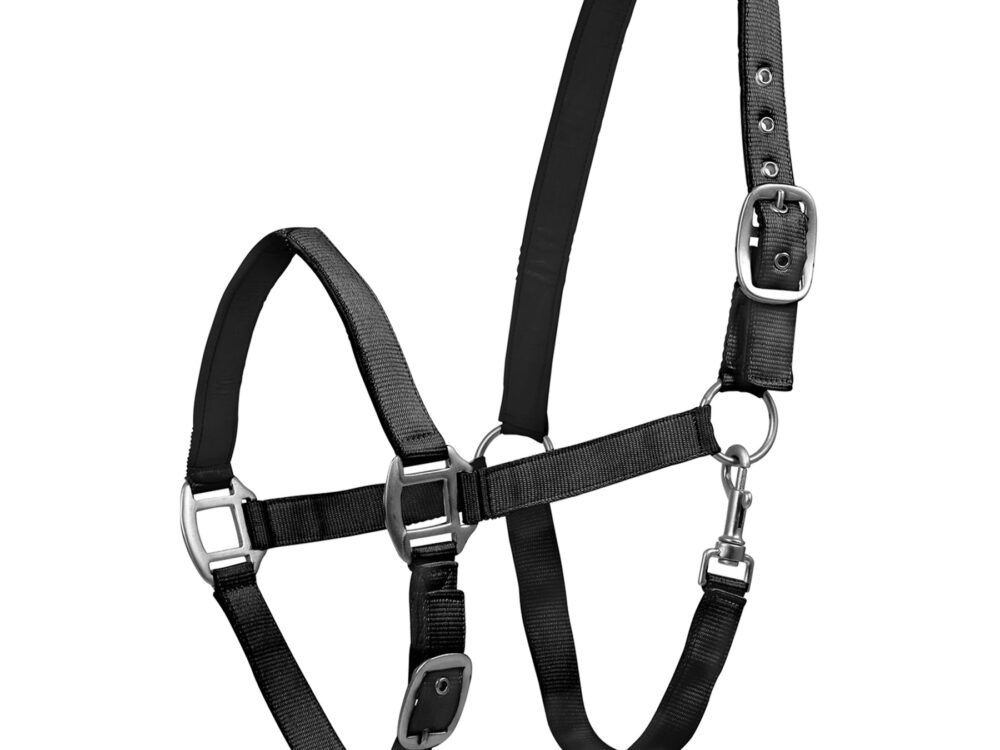 Waldhausen Perlon Halster Satin, black, Pony