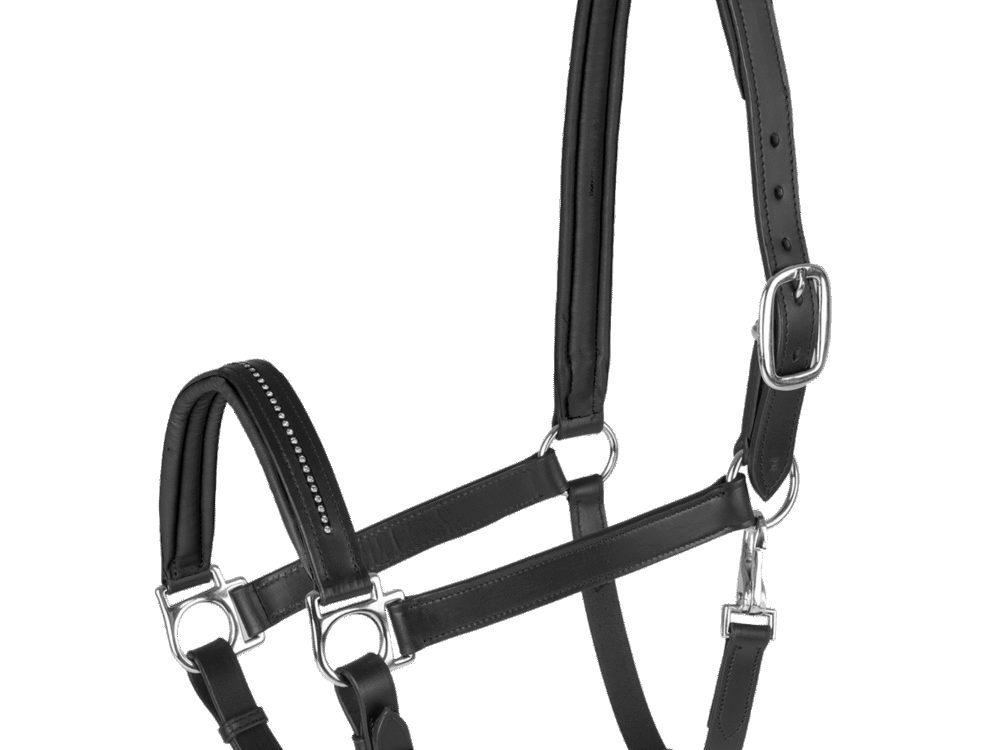 STAR Lerenhalster Diamond, black, Minishetty
