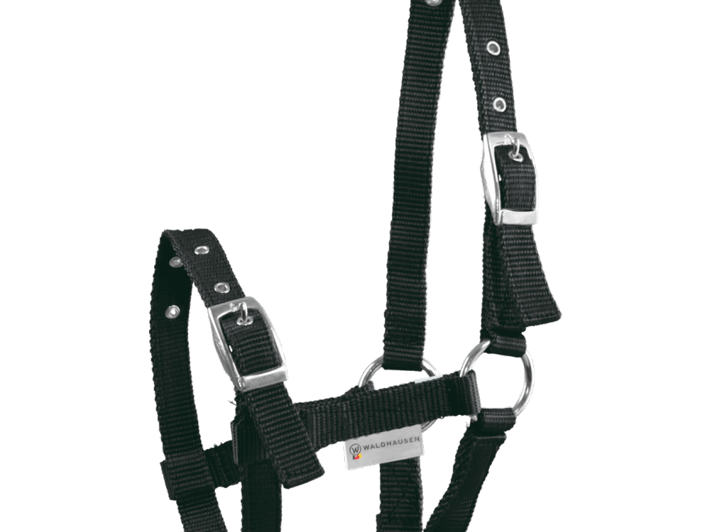 Waldhausen veulenhalster Triple, zwart.