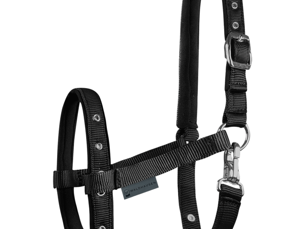 Waldhausen Veulenhalster Comfort, zwart