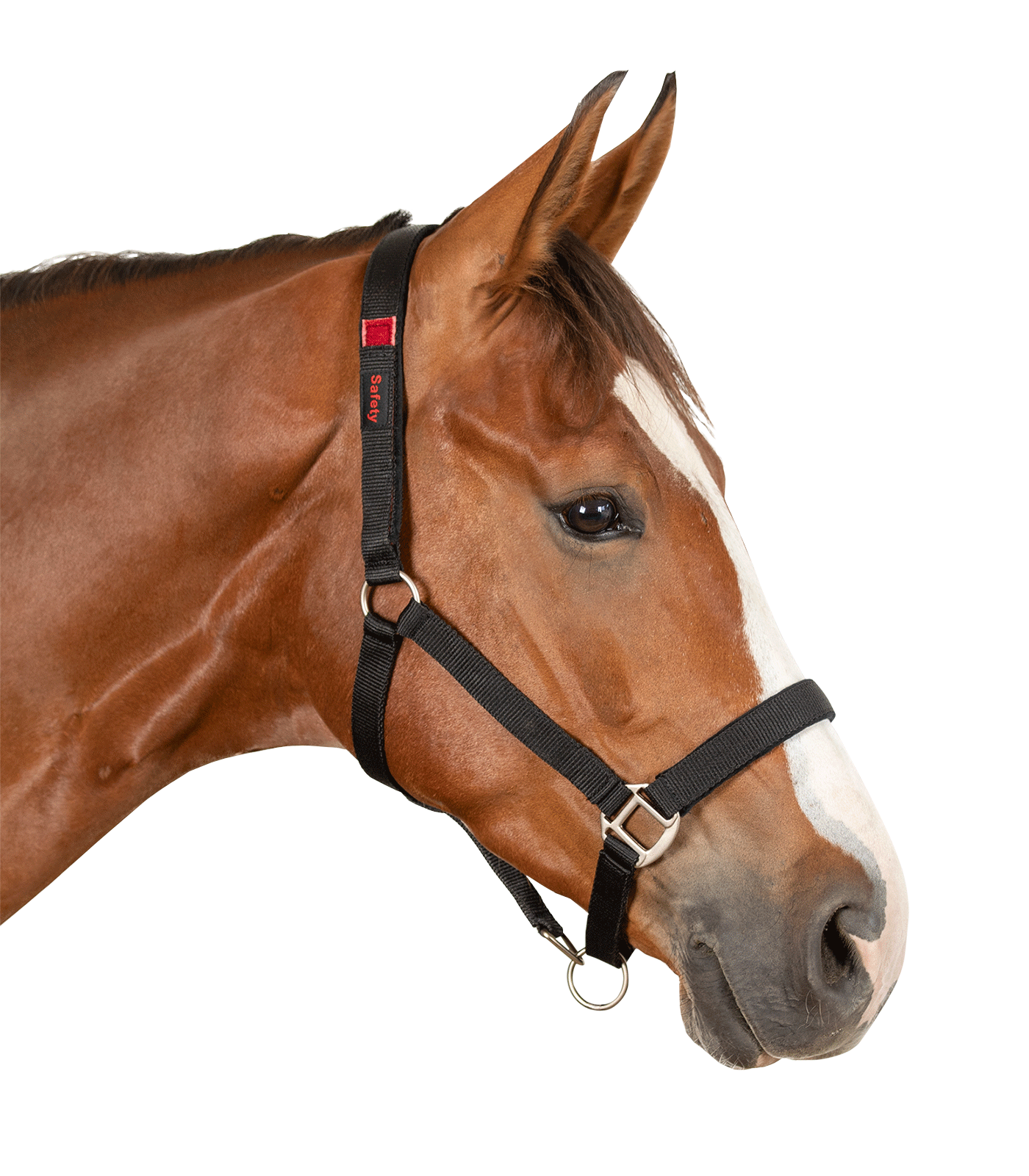 Waldhausen Safety halster, black, Pony - Afbeelding 3