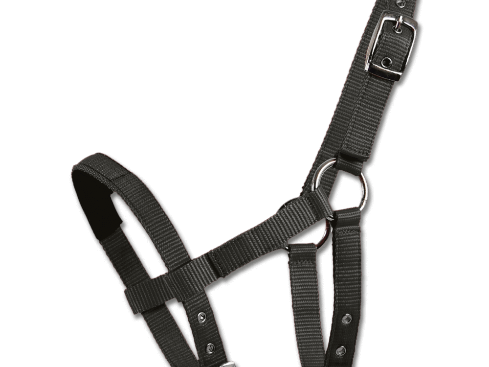 Waldhausen Mini-Shetty halter padded, black