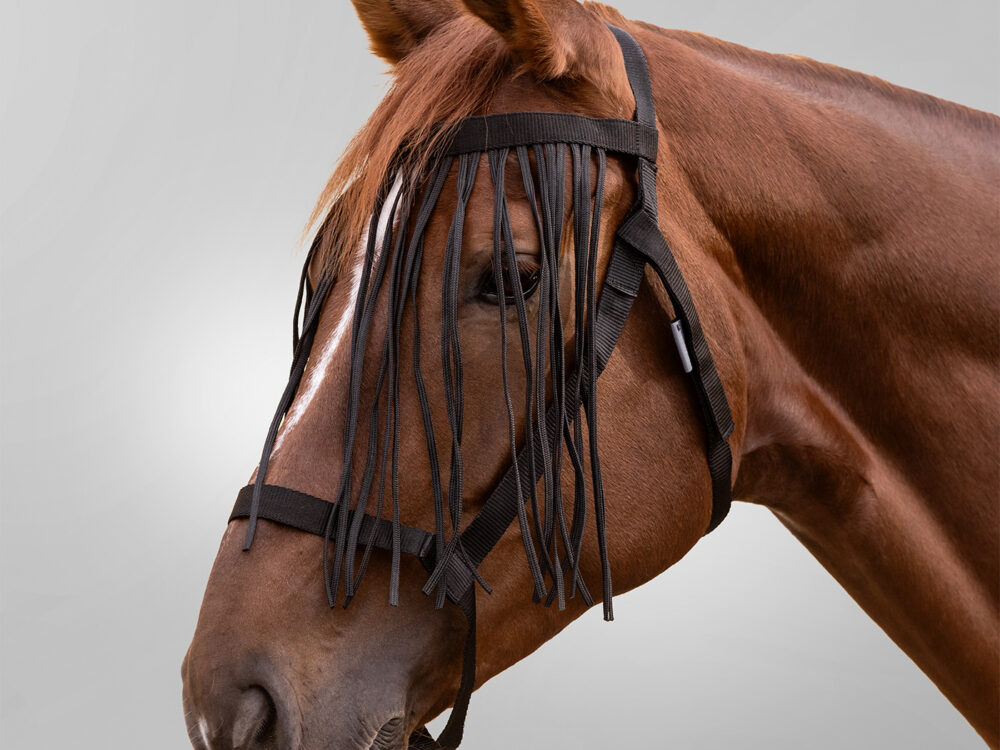 Waldhausen weidehalster met vliegenmepper, zwart, pony