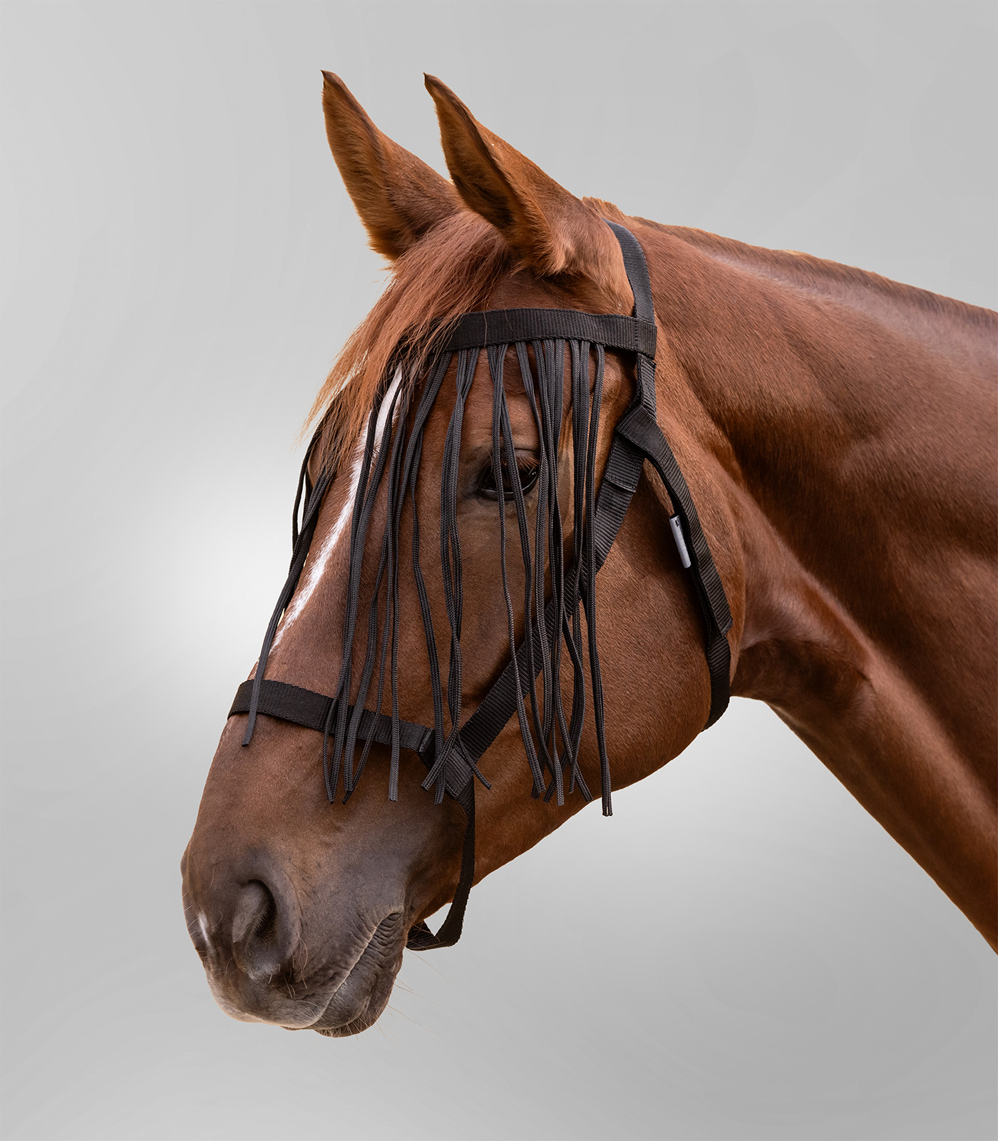 Waldhausen weidehalster met vliegenmepper, zwart, pony