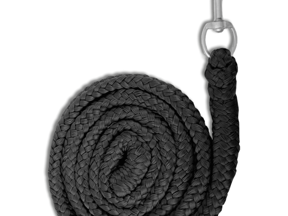 Waldhausen Lead Rope Economische karabijnhaak, zwart