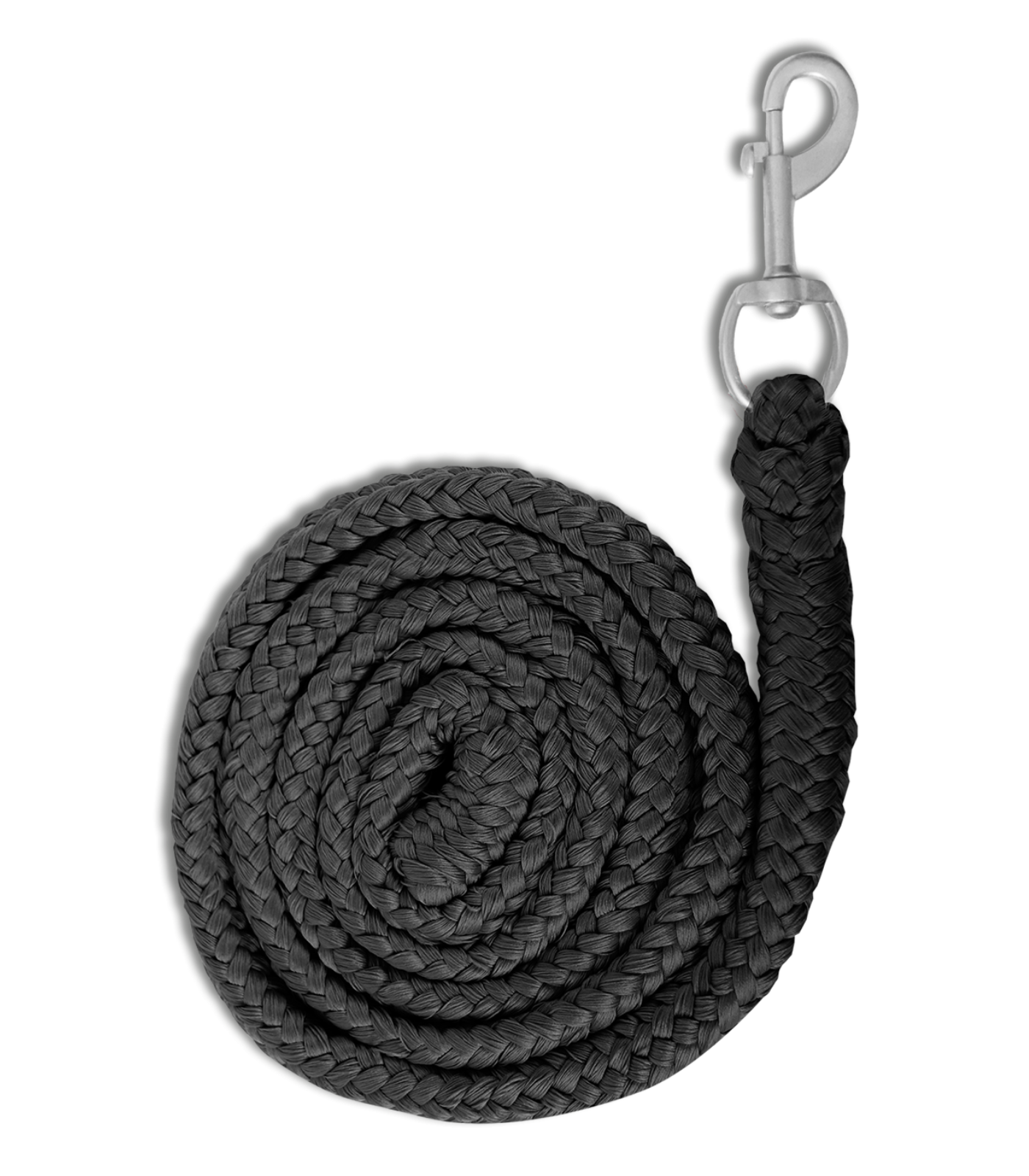 Waldhausen Lead Rope Economische karabijnhaak, zwart