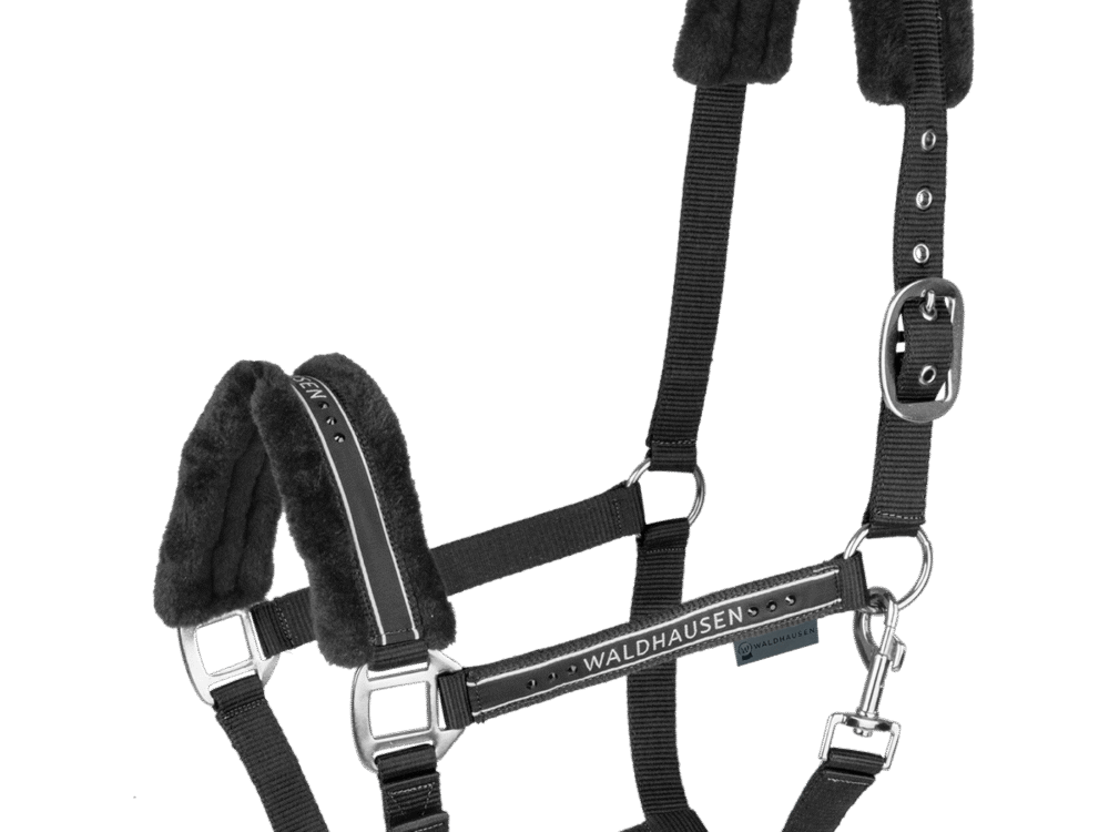 Waldhausen Haltser Elegant, zwart/zwart, Pony