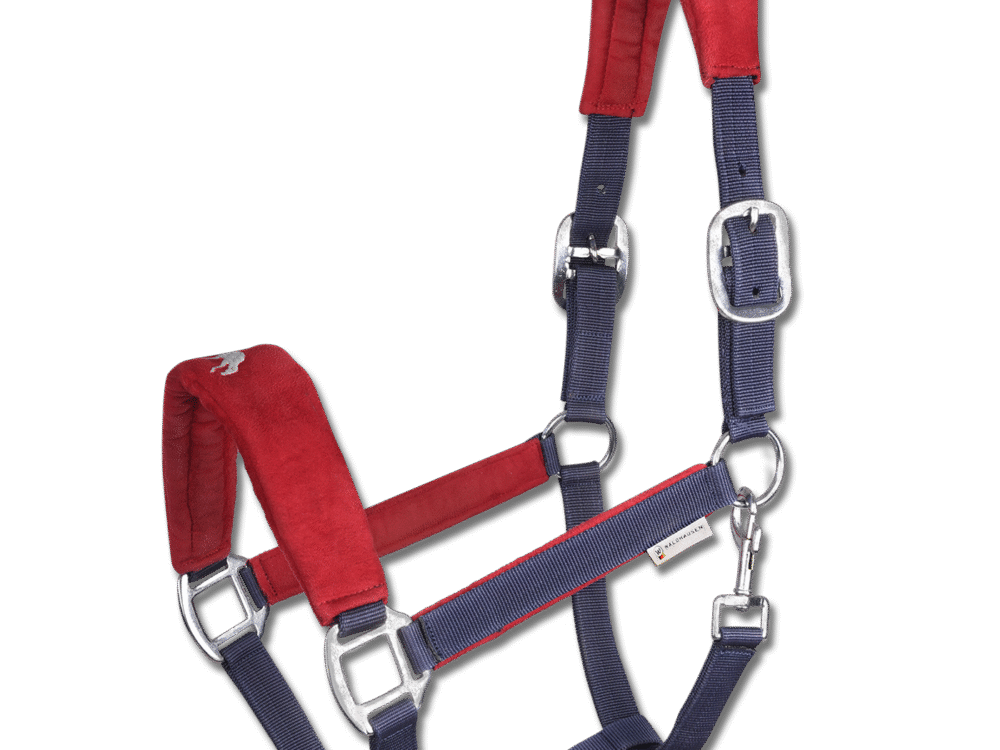 Waldhausen IJslands halster Hellnar, marineblauw/rood, Cob