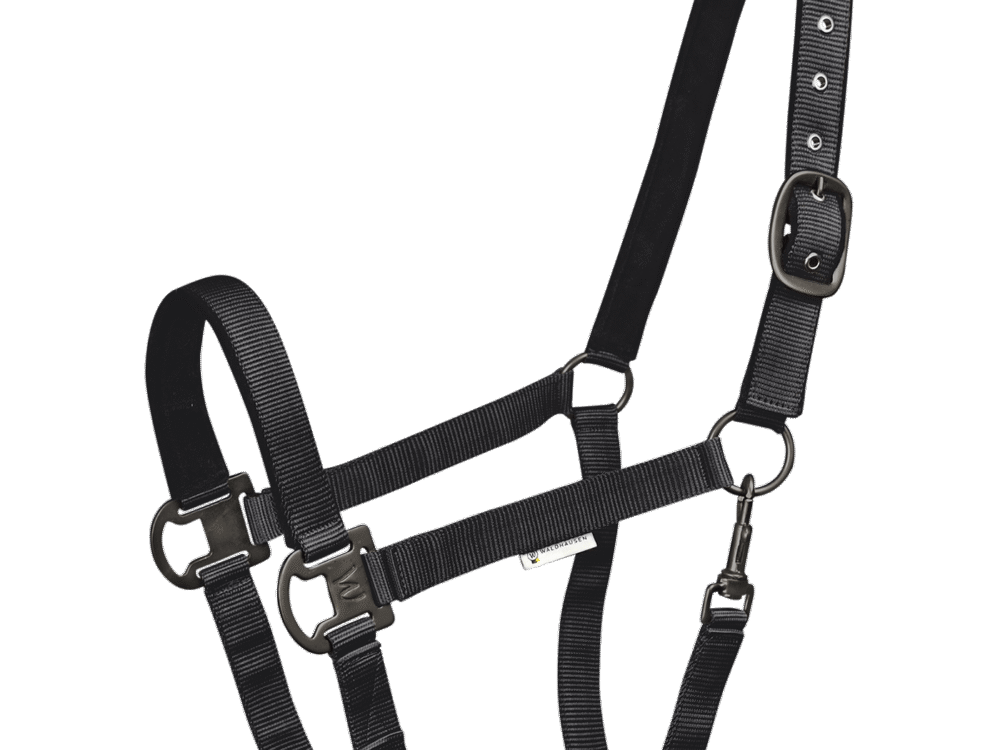 Waldhausen Halster Gloomy, zwart