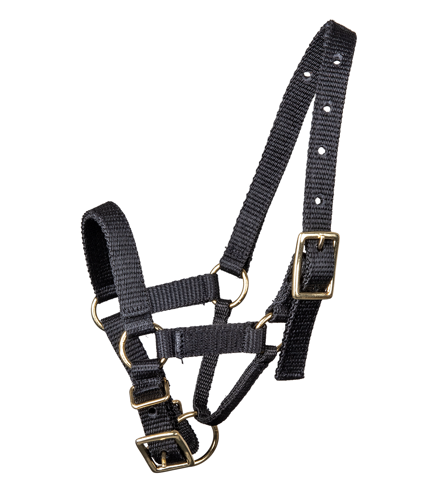 Walldhausen Alpaka Halster black, L