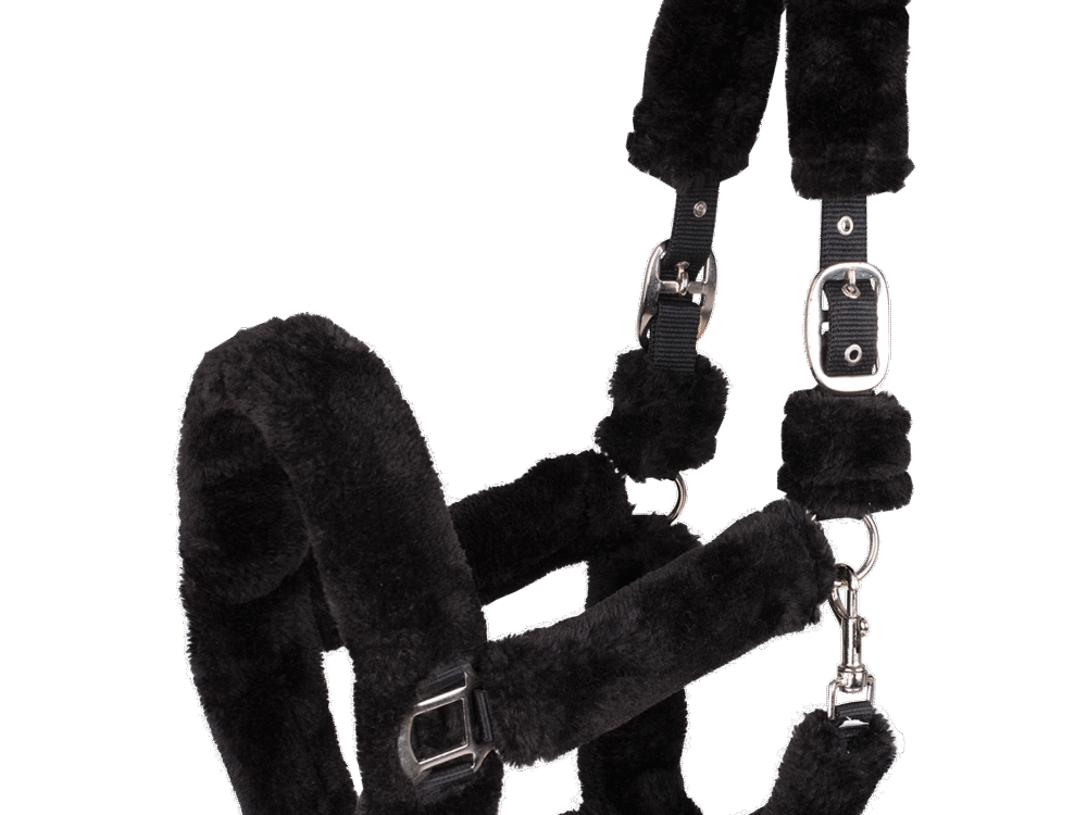 Waldhausen comfortabel halster zwart.