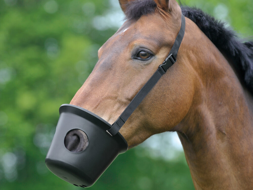 Waldhausen Plastic Muzzle, black, Full