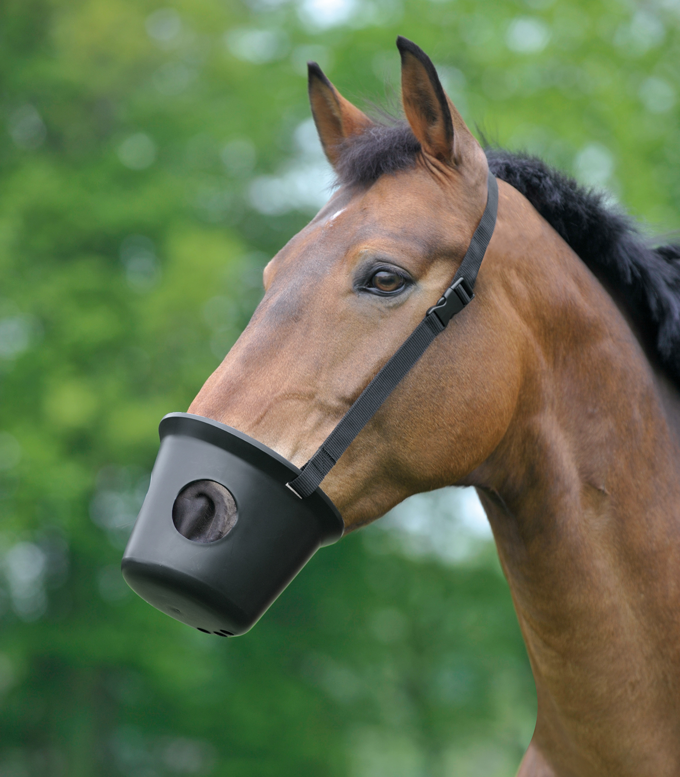 Waldhausen Plastic Muzzle, black, Full