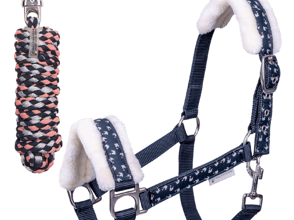 Waldhausen Halster Set Lucky, nachtblauw, Minishetty