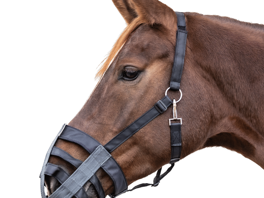 Waldhausen Graasmasker, zwart-grijs, Pony