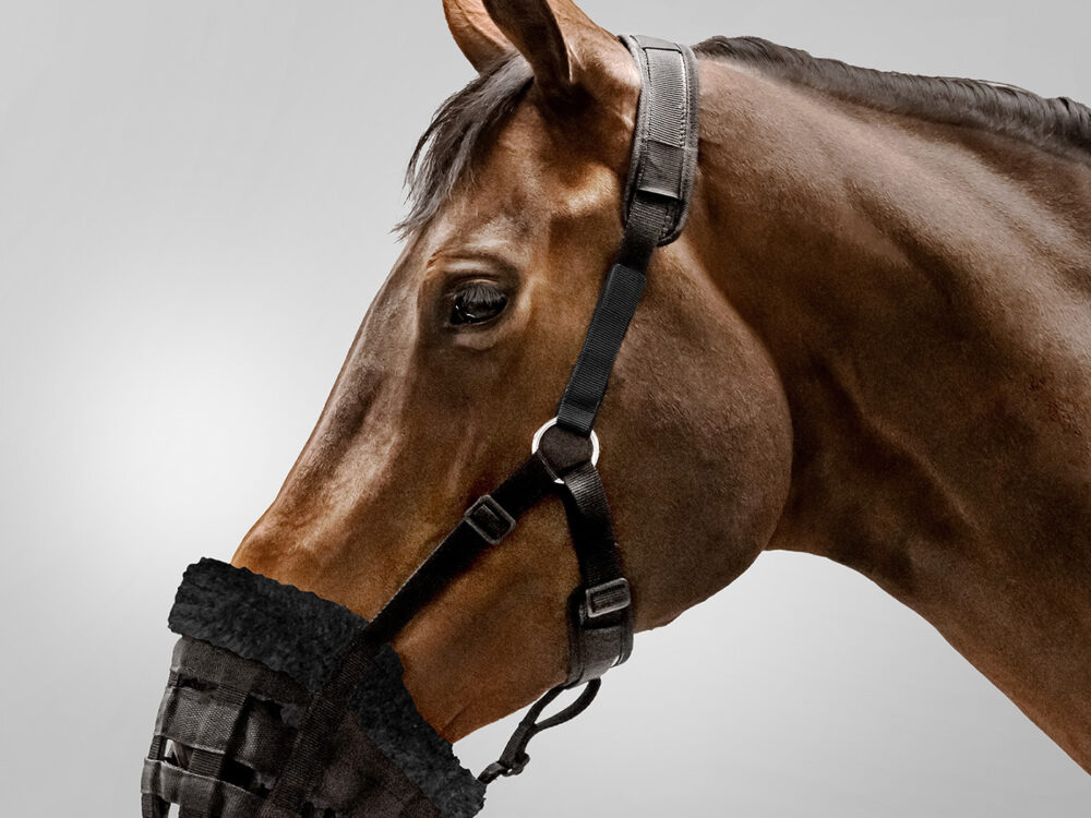 Waldhausen graasmasker pony