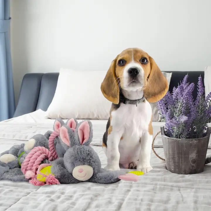 Bunny Puppy Crunchy Chew - Afbeelding 3