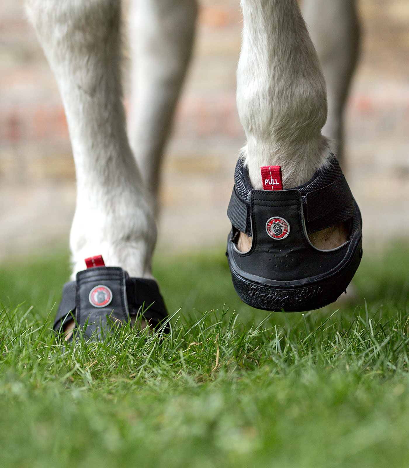 Waldhausen Equine Fusion trekkinghoeflaars Slim, maat 7 - Afbeelding 6