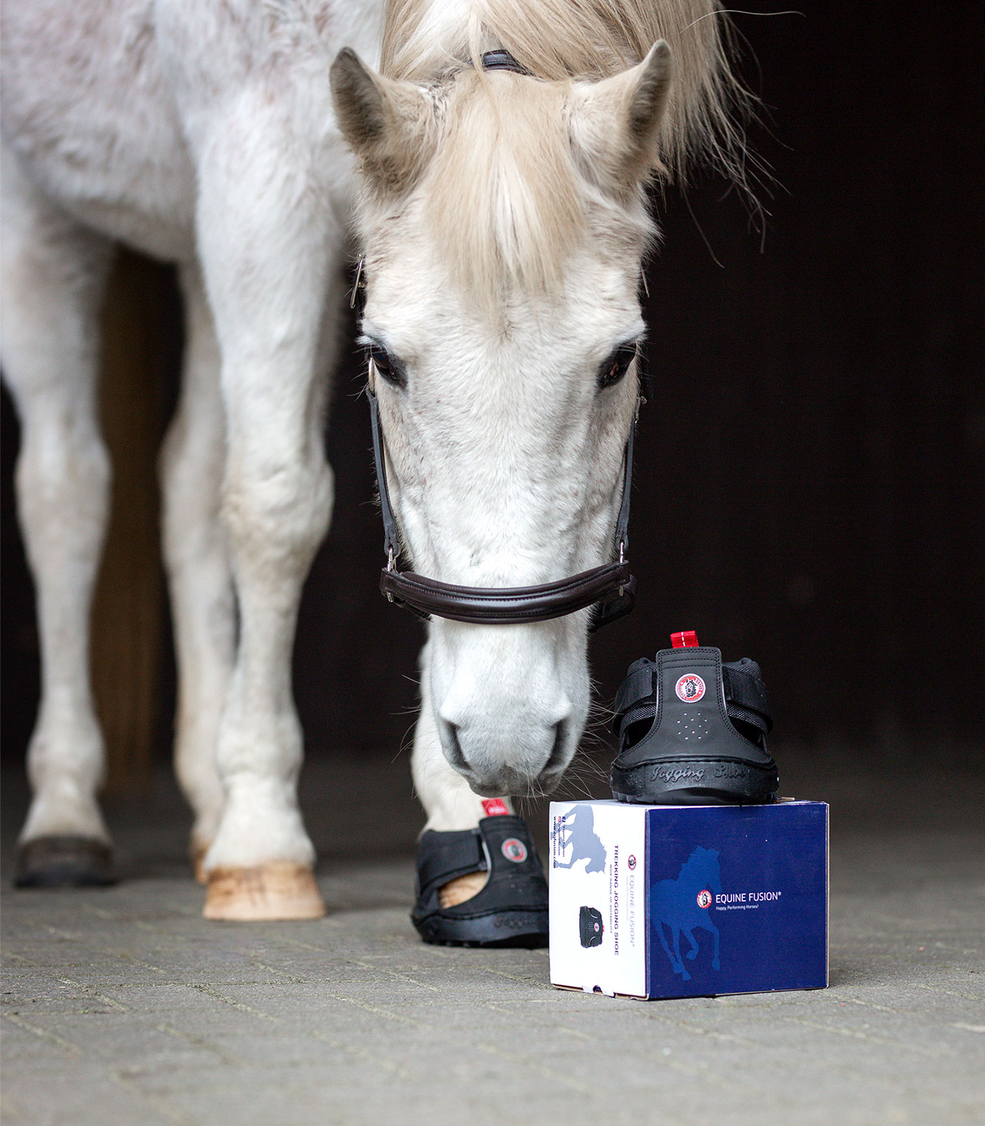 Waldhausen Equine Fusion trekkinghoeflaars Slim, maat 7 - Afbeelding 7