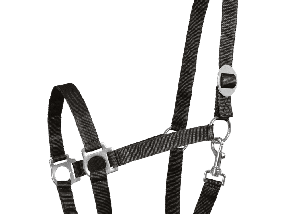 Waldhausen Perlon Halter, black, Pony