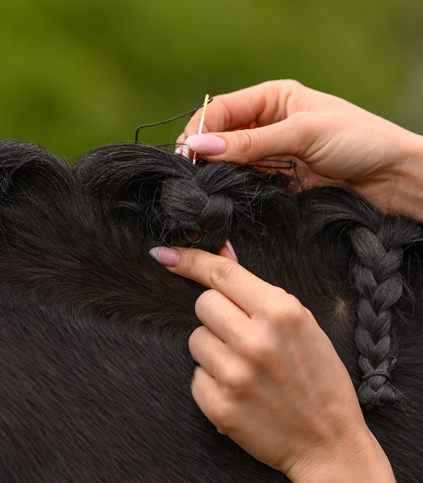 Waldhausen Mane-Plaiting Set - Afbeelding 3