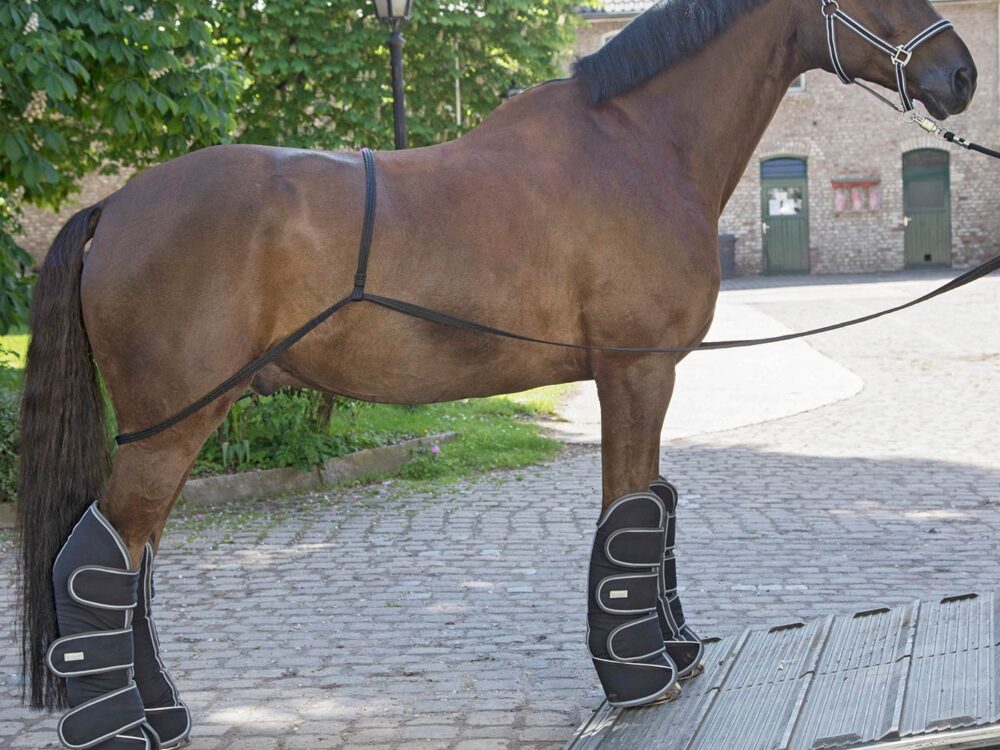 Trailerlader