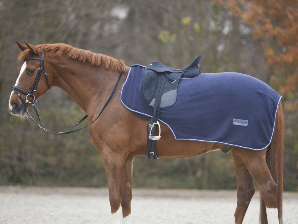 Waldhausen fleece uitrijdeken Economic, nachtblauw, pony