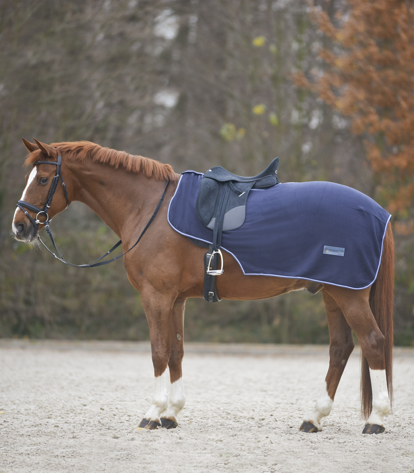 Waldhausen fleece uitrijdeken Economic, nachtblauw, pony