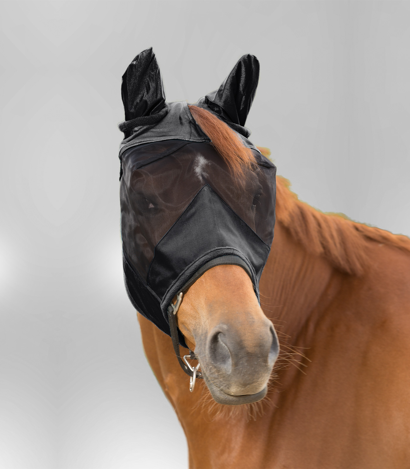 Waldhausen Vliegenmasker Premium with ears, black, Pony