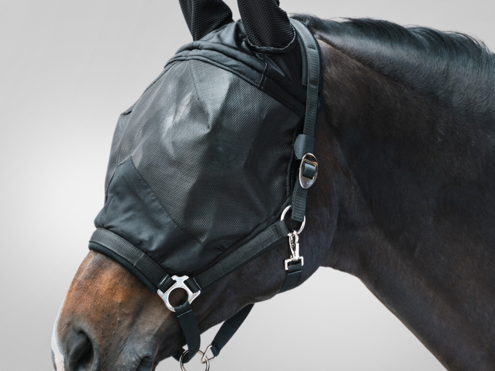 Waldhausen vliegenmuts Premium, met halster, zwart, Pony.