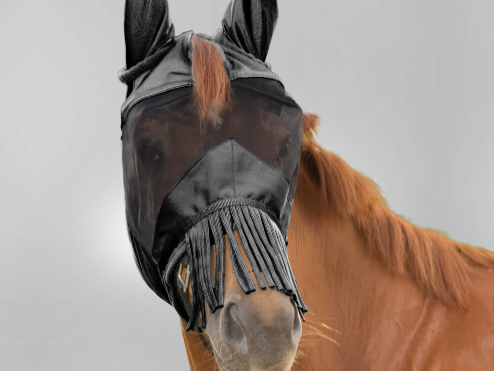 Waldhausen vliegemasker with ears and fringes on nose, black, Pony