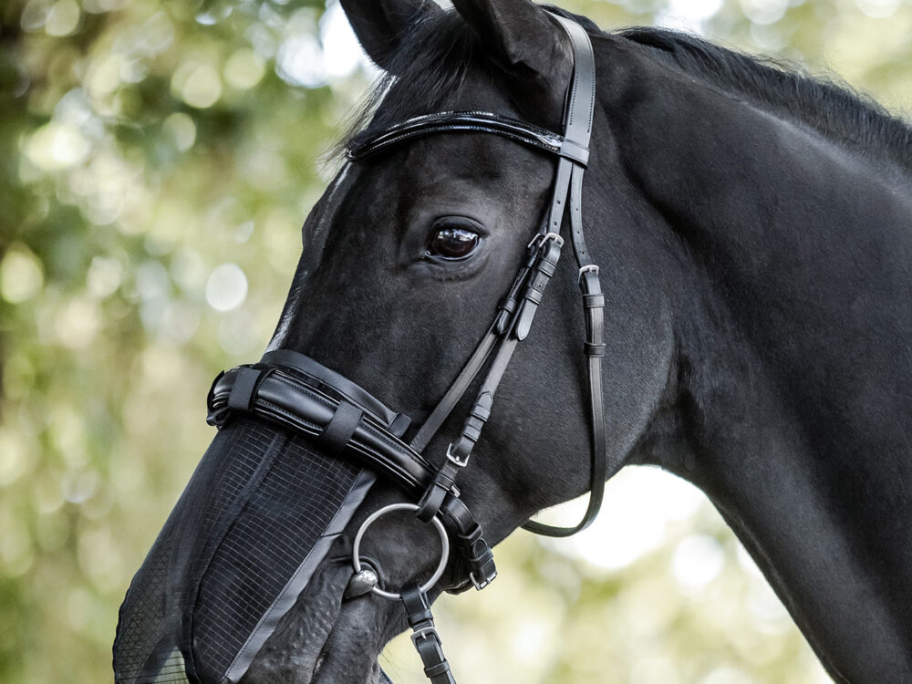 Waldhausen vliegenbescherming voor de neus, Pony, zwart.