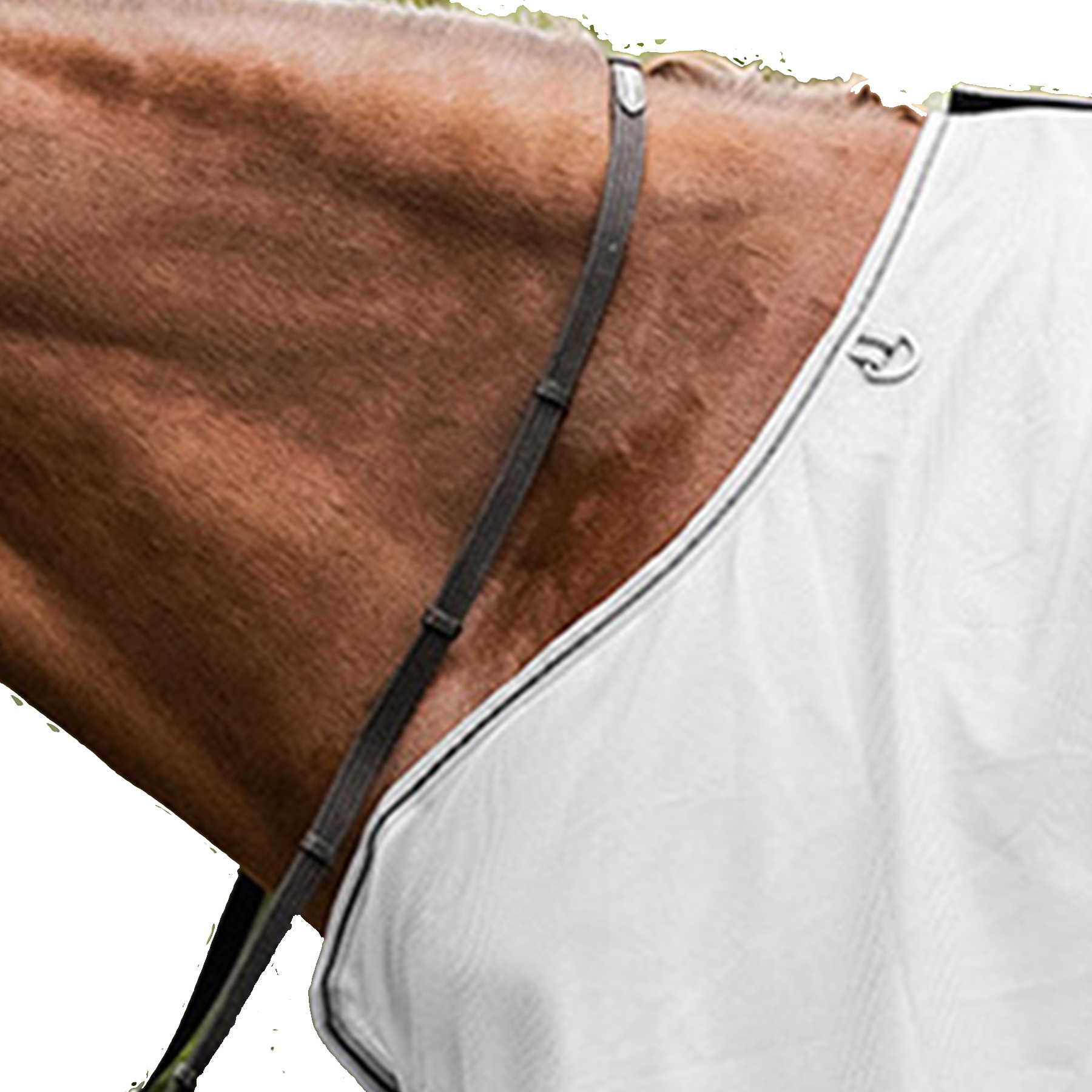 Waldhausen vliegendeken Protect met zadeluitsparing, zilvergrijs, 115 cm. - Afbeelding 2