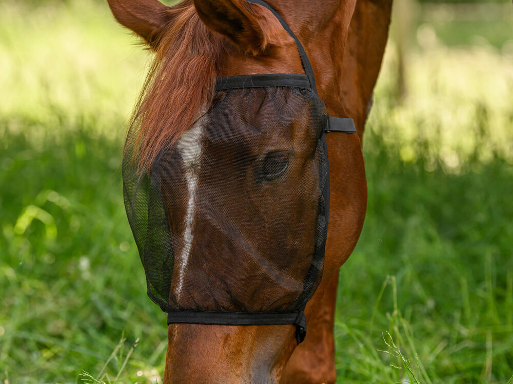 Waldhausen Vliegenmasker Basic, zonder oren, zwart, pony