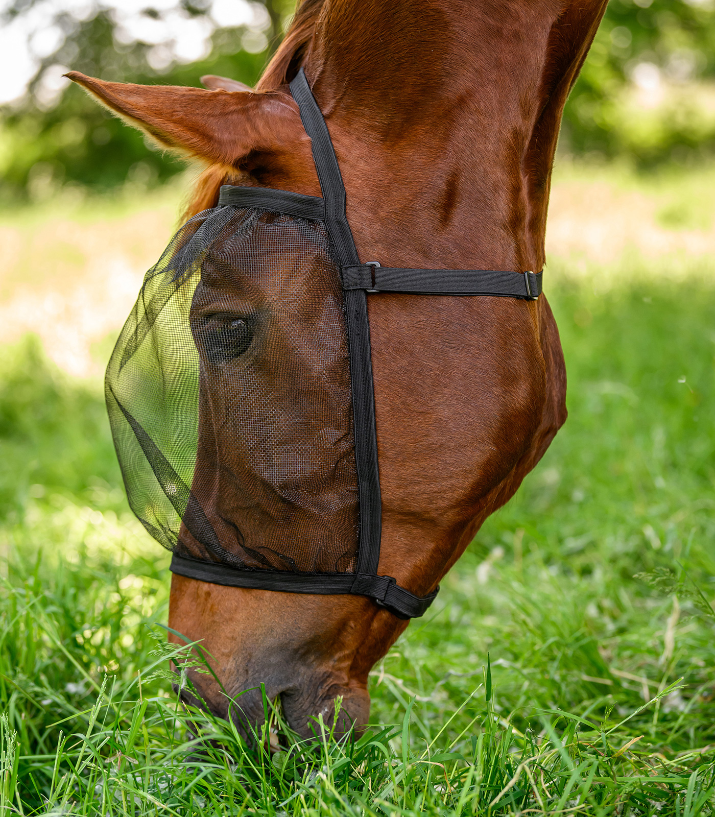 Waldhausen Vliegenmasker Basic, zonder oren, zwart, pony - Afbeelding 2