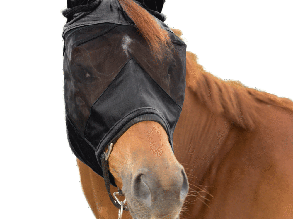 Waldhausen vliegenmasker 3-in-1, zwart, Pony