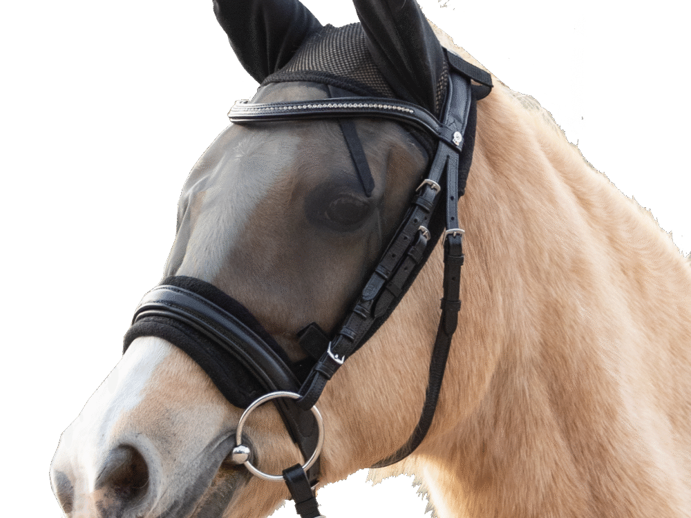 Waldhausen vliegenmasker ride, black, Pony