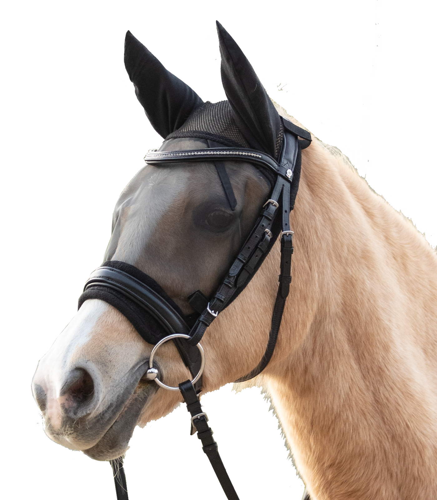 Waldhausen vliegenmasker ride, black, Pony