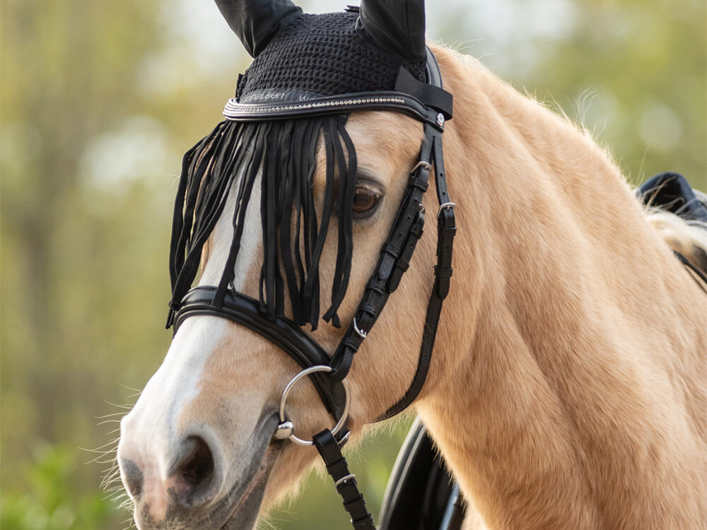 Waldhausen vliegenfrontriem met franjes, zwart, Pony