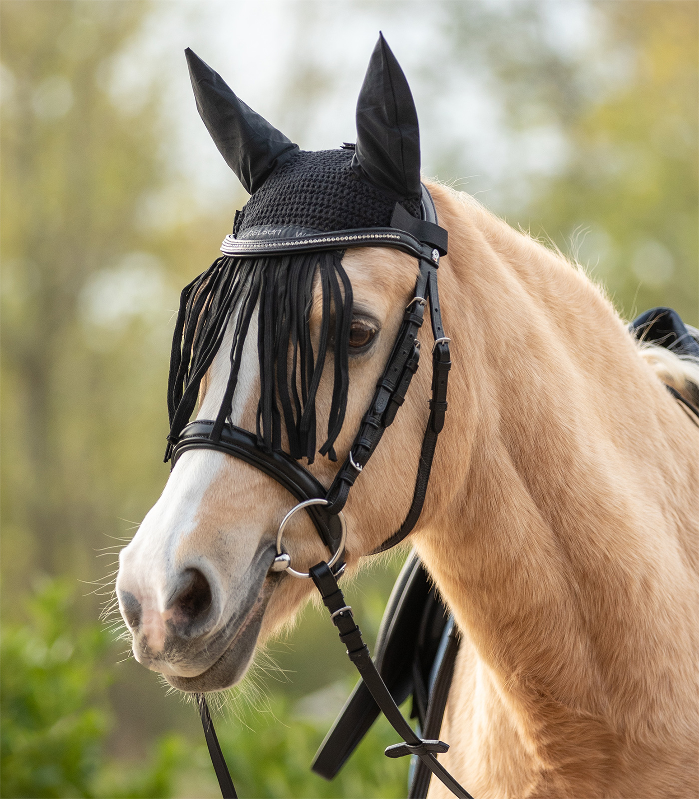 Waldhausen vliegenfrontriem met franjes, zwart, Pony
