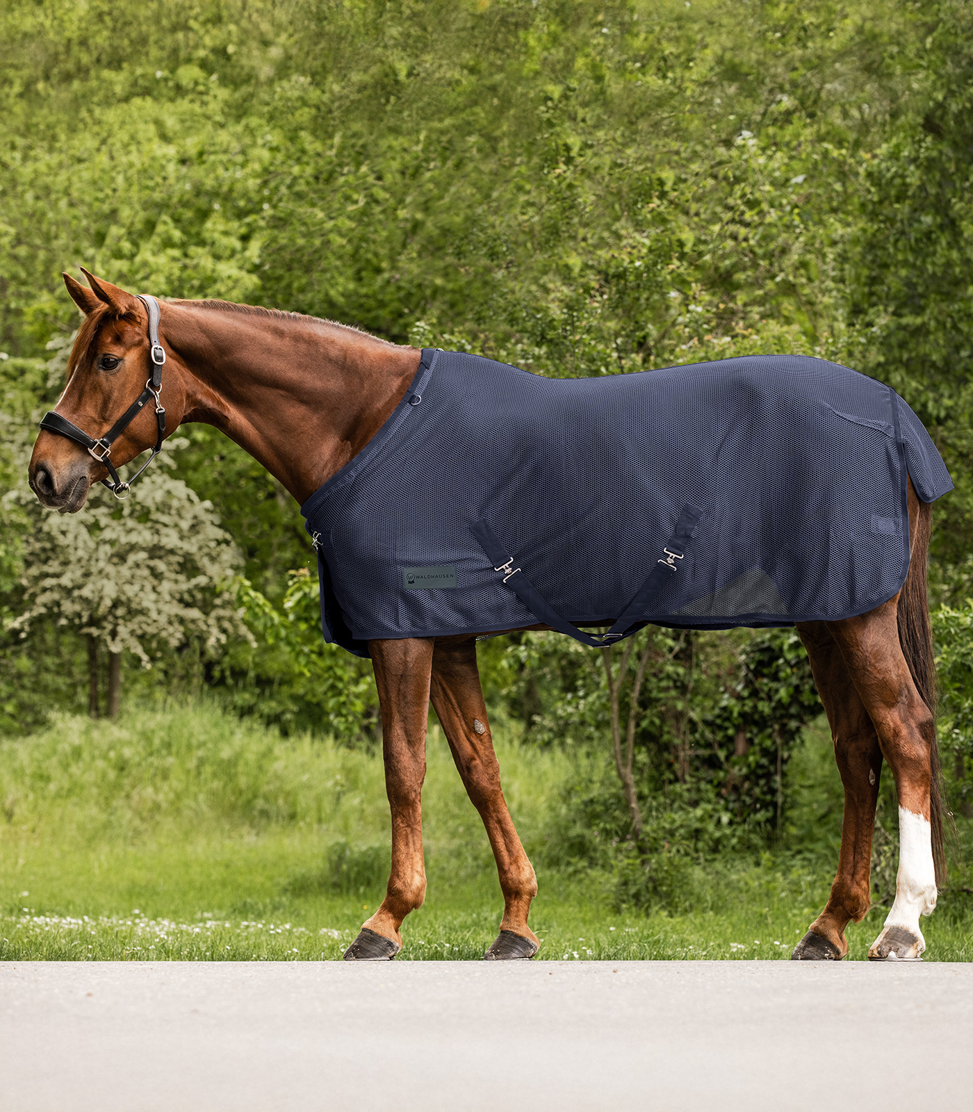 Waldhausen Vliegendeken Comfort met buikflap, nachtblauw, 125 cm