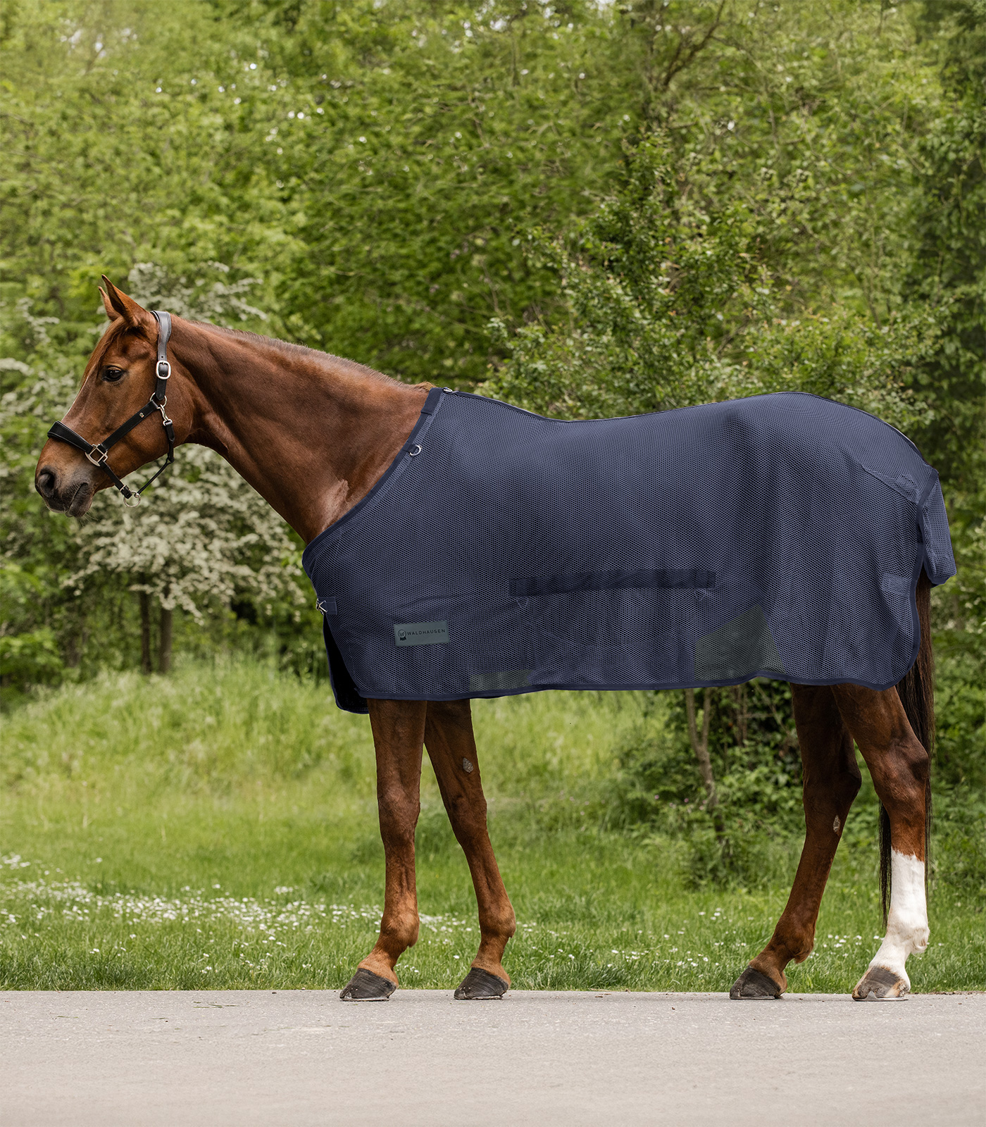 Waldhausen vliegendeken Comfort met buikflap