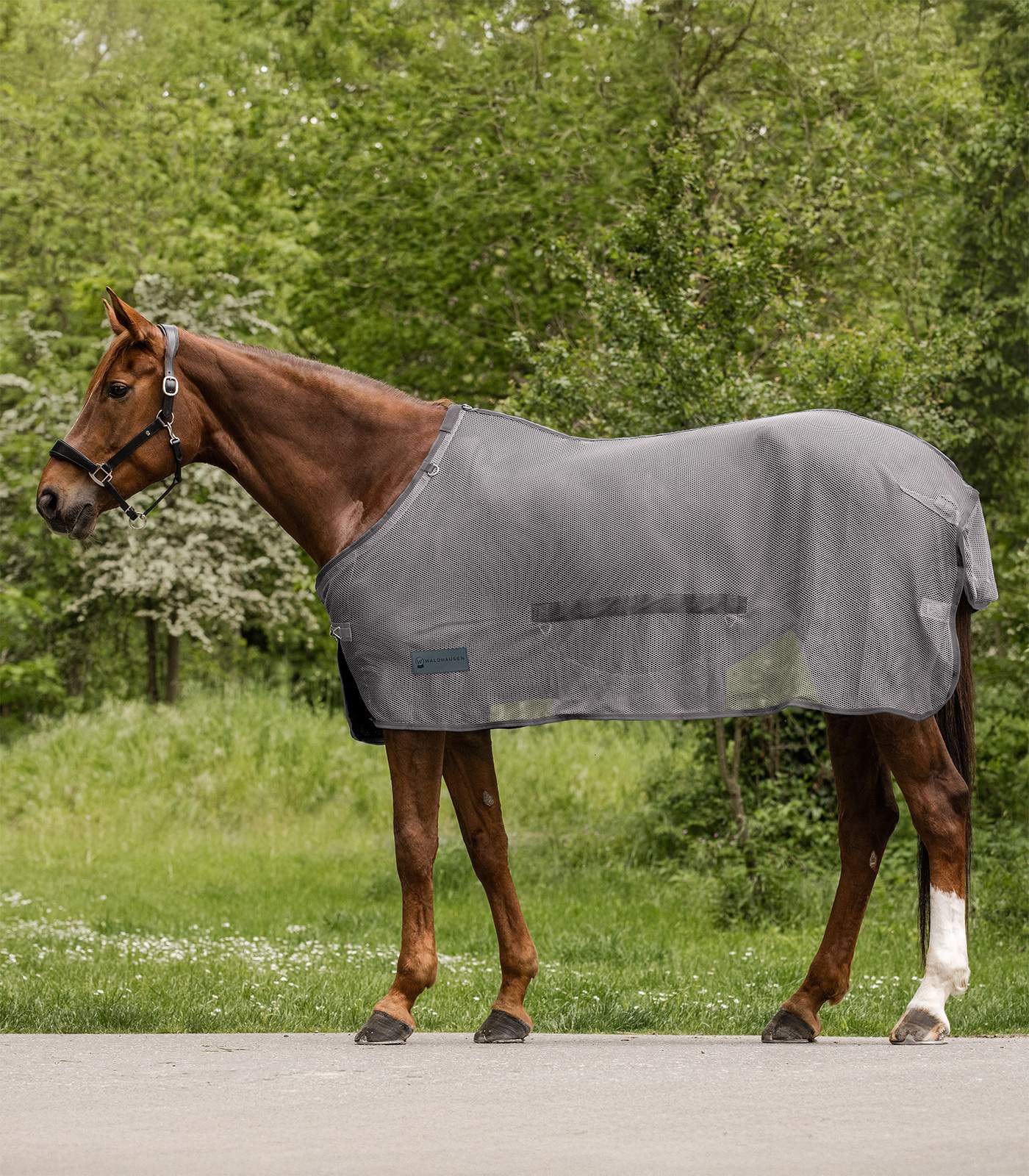 Waldhausen vliegendeken Comfort met buikflap - Afbeelding 2