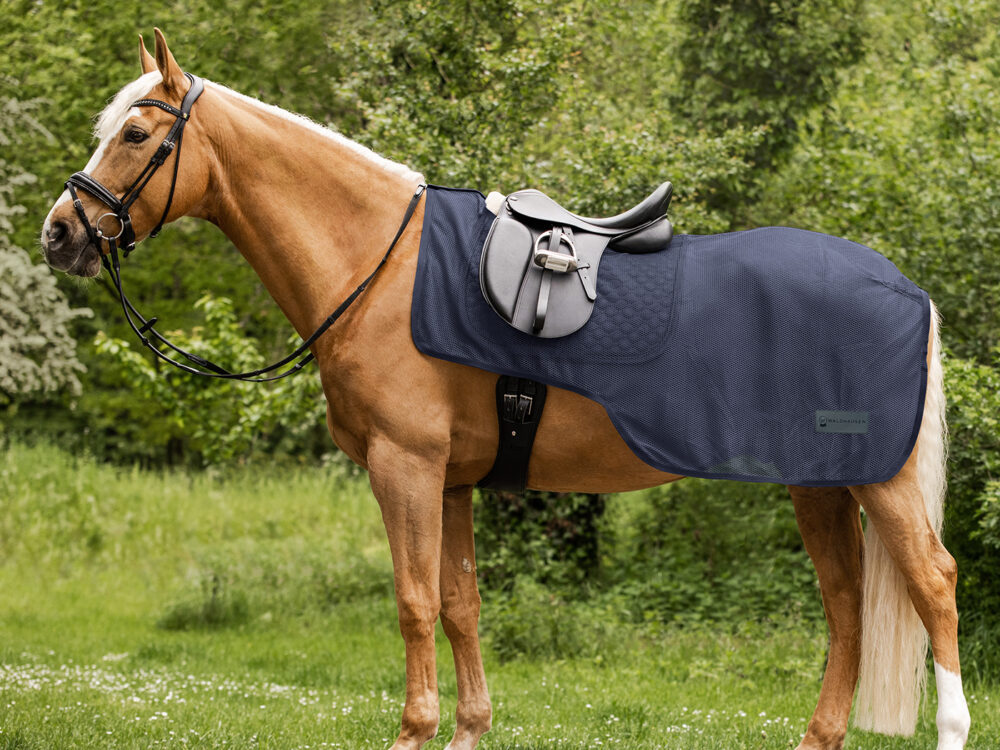 Waldhausen Vliegendeken met zadeluitsparing Comfort, nachtblauw, 125 cm
