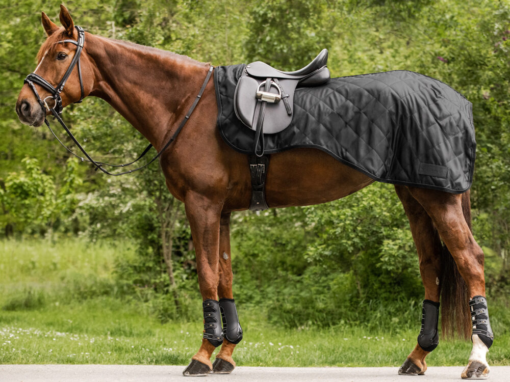 Waldhausen Stapmolen-deken Exclusive, zwart, 125 cm