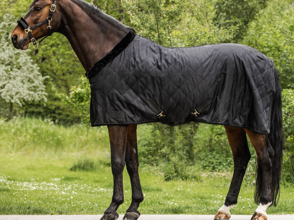 Waldhausen Rug Exclusive, black, 125 cm