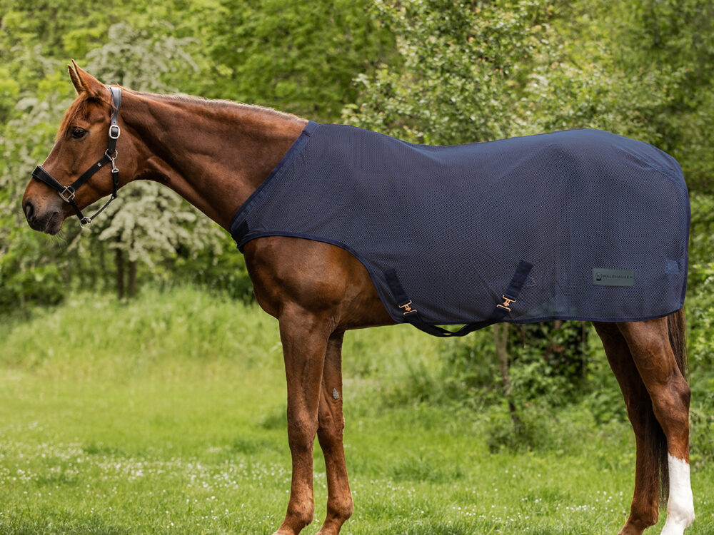 Waldhausen Fly Walker Comfort vloerkleed, nachtblauw, 125 cm
