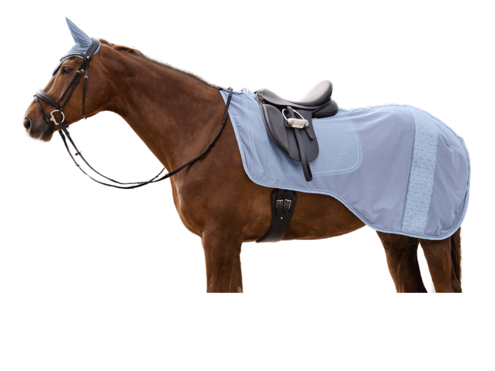 Waldhausen uitrijdeken Rom, pastelblauw, pony